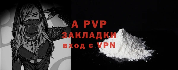 спиды Горно-Алтайск