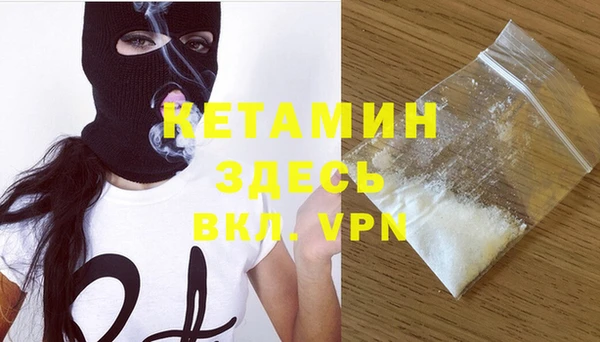 сатива Вязьма