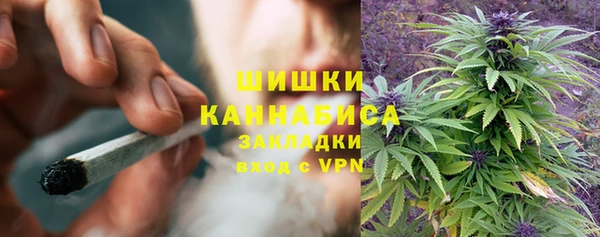 сатива Вязьма