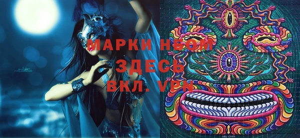 сатива Вязьма