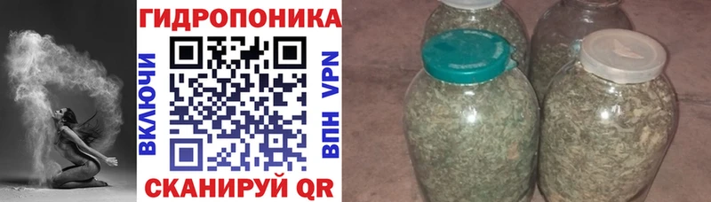 дарнет шоп  Электросталь  Марихуана VHQ 